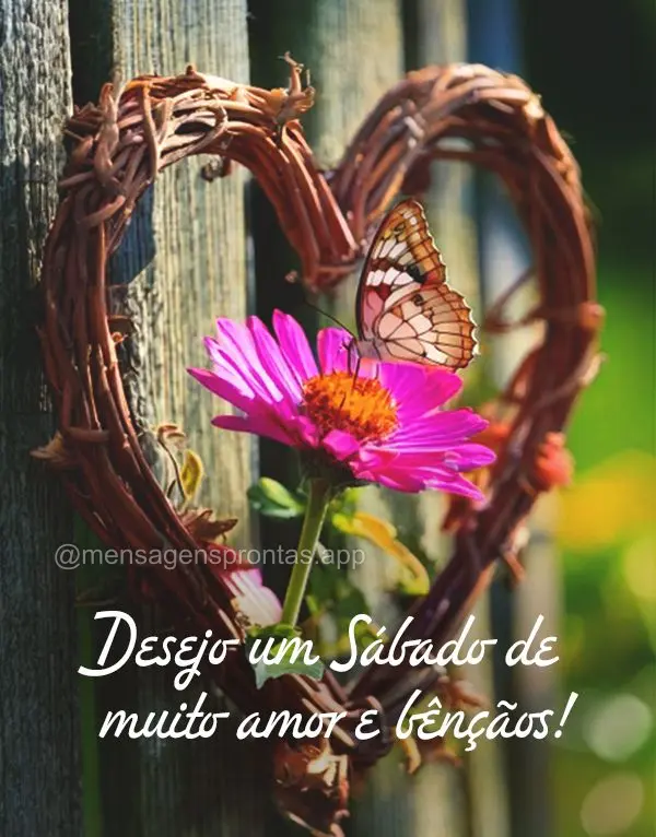 Desejo um Sábado de muito amor e bênçãos!