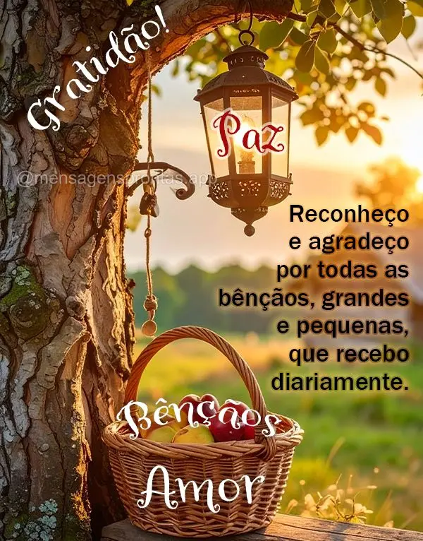 Reconheço e agradeço por todas as bênçãos, grandes e pequenas, que recebo diariamente. Gratidão, paz, amor e bênçãos!