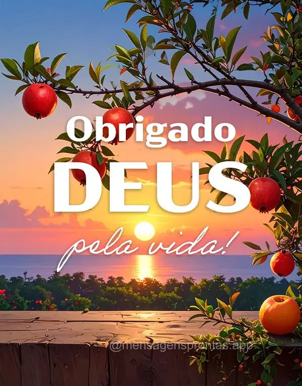Obrigado DEUS pela vida!