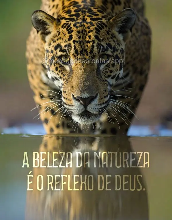 A beleza da natureza é o reflexo de Deus.