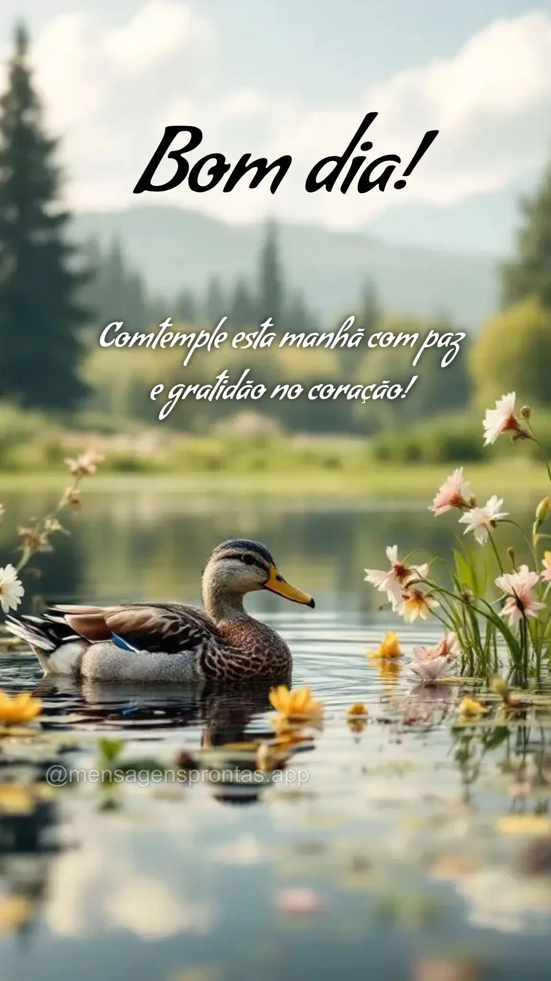 Comtemple esta manhã com paz 
e gratidão no coração! Bom dia!