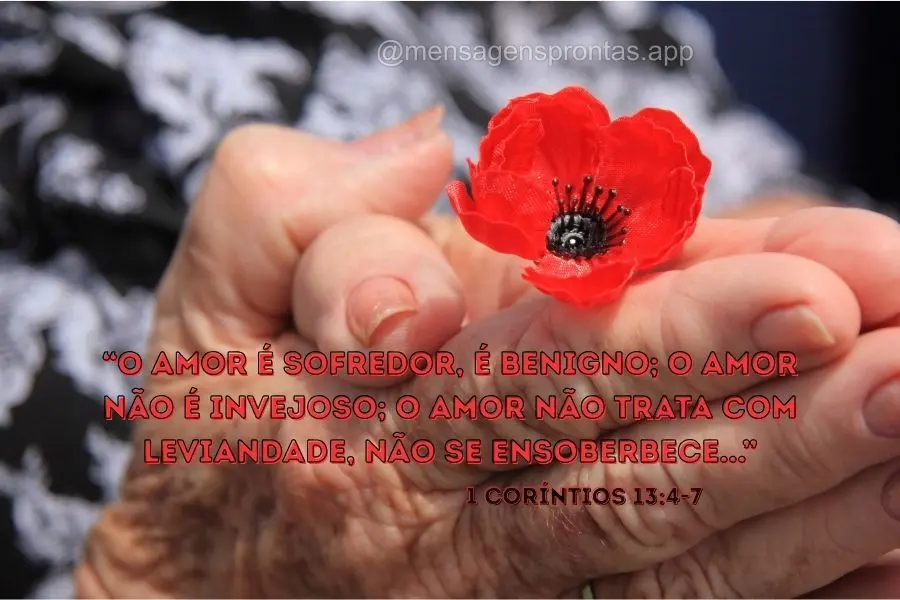 "O amor é sofredor, é benigno; o amor não é invejoso; o amor não trata com leviandade, não se ensoberbece..." 1 Coríntios 13:4-7