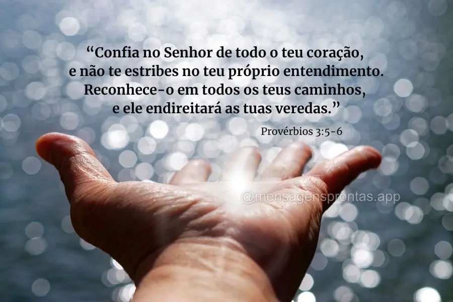 "Confia no Senhor de todo o teu coração, e não te estribes no teu próprio entendimento. Reconhece-o em todos os teus caminhos, e ele endireitará as ...