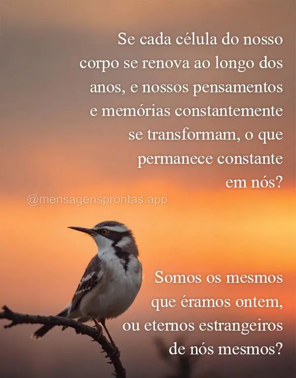 Se cada célula do nosso corpo se renova ao longo dos anos, e nossos pensamentos e memórias constantemente se transformam, o que permanece constante em ...