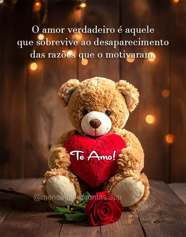 O amor verdadeiro é aquele que sobrevive ao desaparecimento das razões que o motivaram. Te amo!