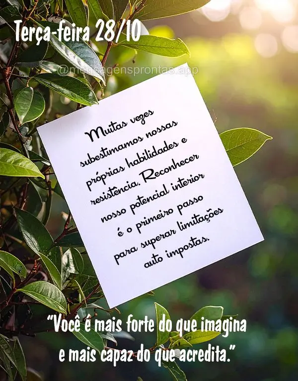 "Você é mais forte do que imagina e mais capaz do que acredita."
Muitas vezes subestimamos nossas próprias habilidades e resistência. Reconhecer nos...