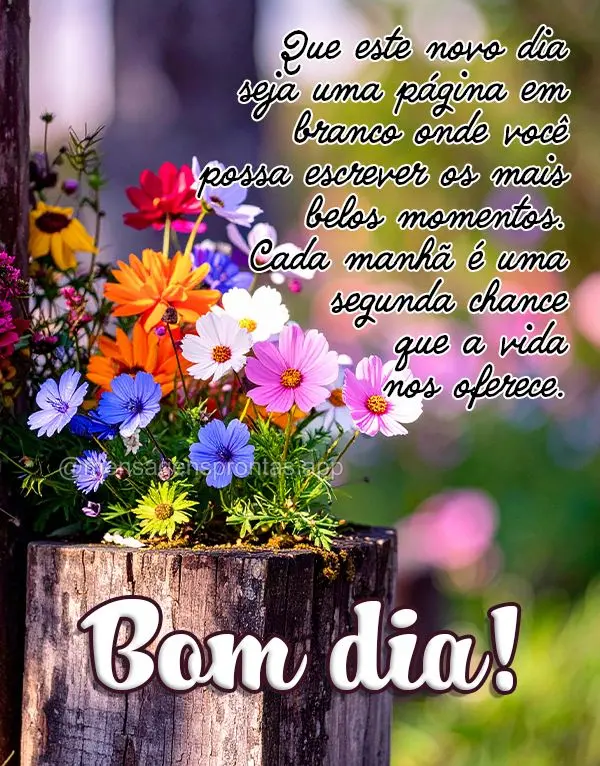 Que este novo dia seja uma página em branco onde você possa escrever os mais belos momentos. Cada manhã é uma segunda chance que a vida nos oferece. ...