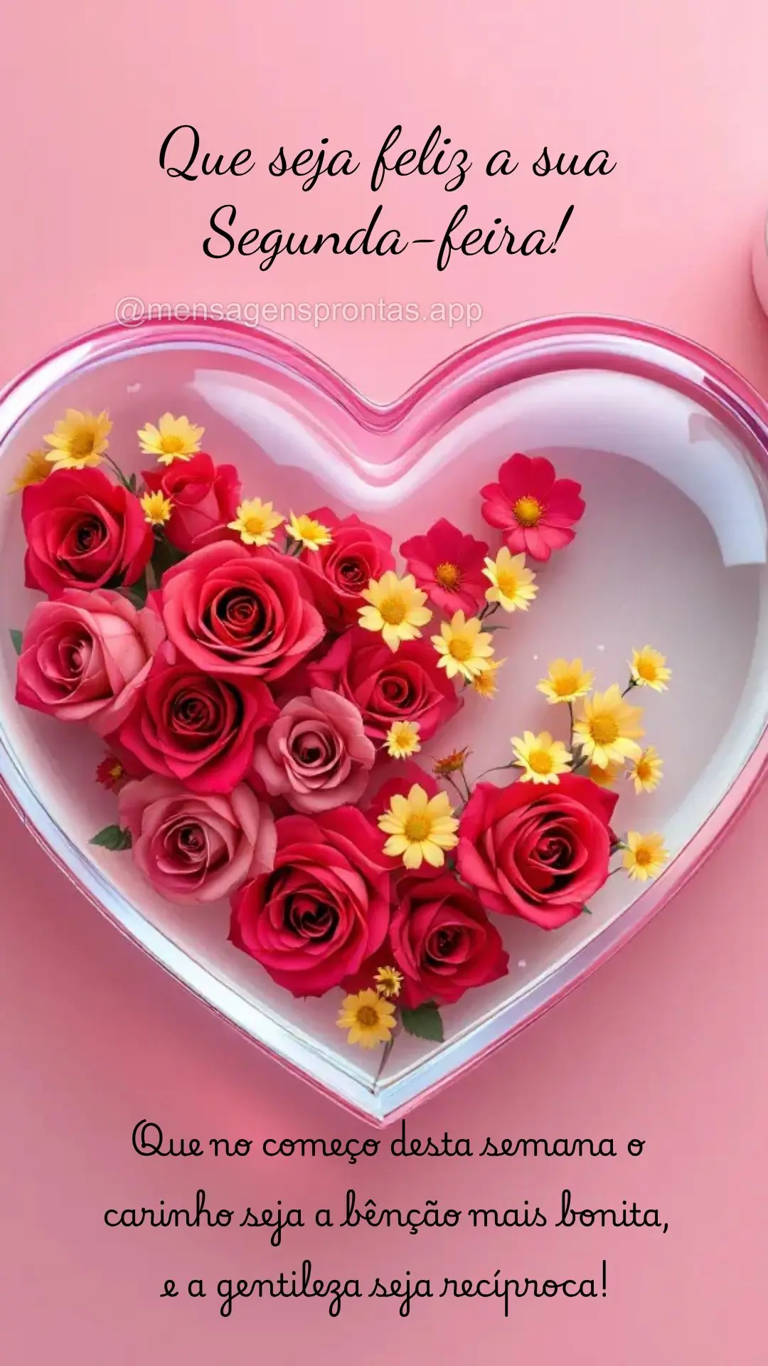 Que no começo desta semana o carinho seja a bênção mais bonita, 
e a gentileza seja recíproca! Que seja feliz a sua Segunda-feira!