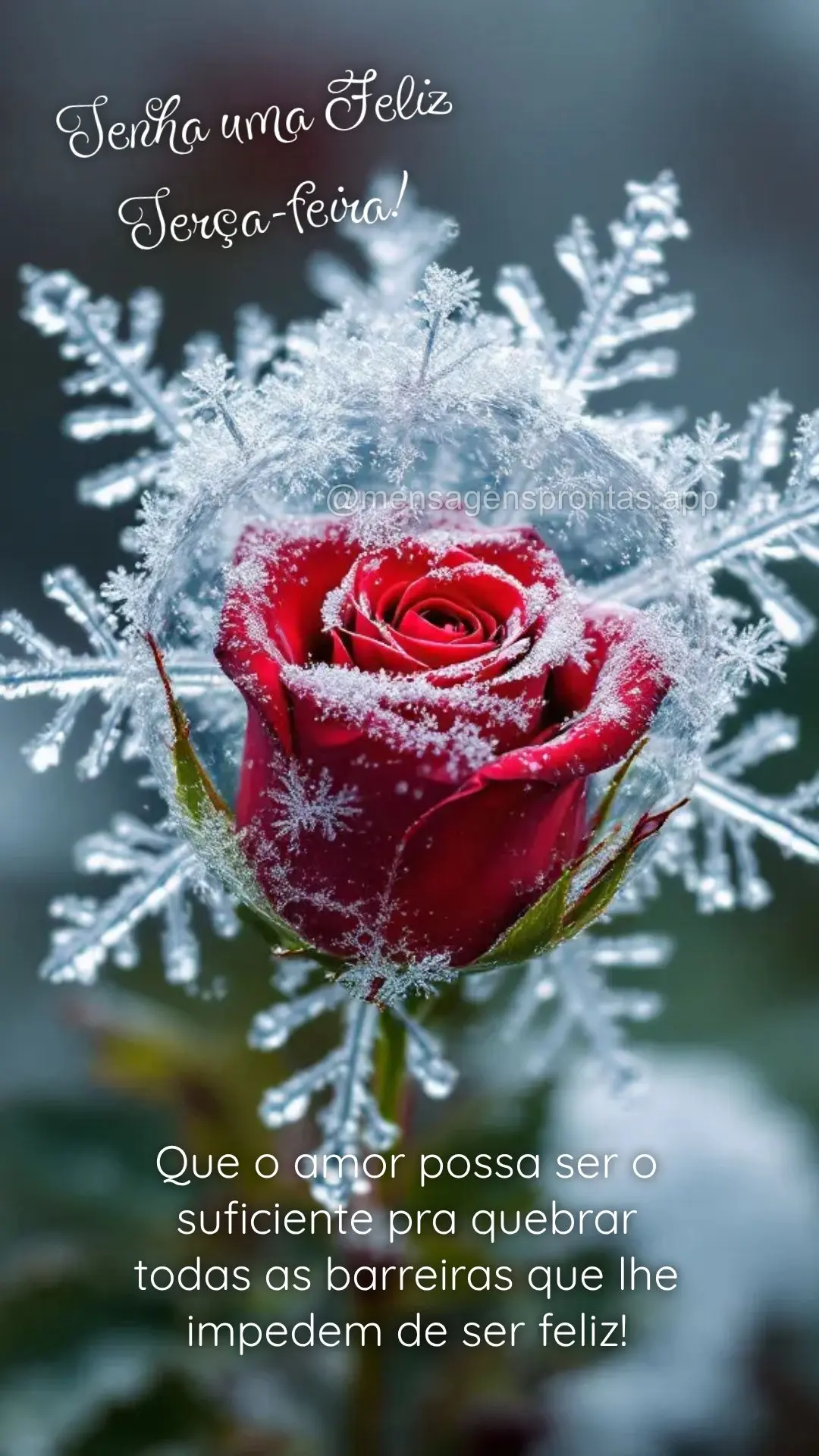 Que o amor possa ser o suficiente pra quebrar todas as barreiras que lhe impedem de ser feliz! Tenha uma Feliz Terça-feira!