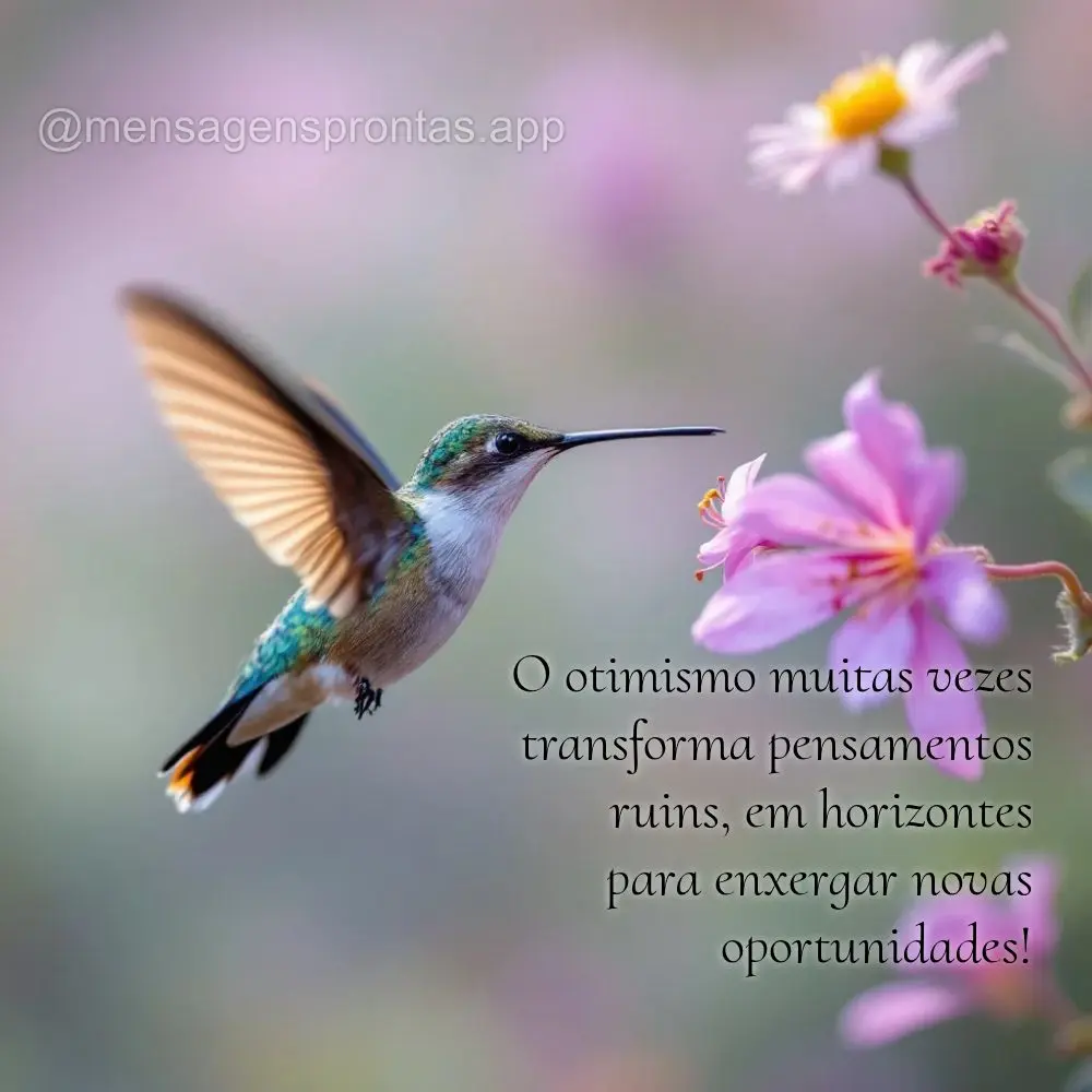 O otimismo muitas vezes transforma pensamentos ruins, em horizontes 
para enxergar novas oportunidades!