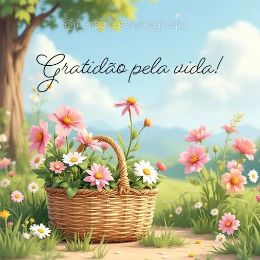 Gratidão pela vida!