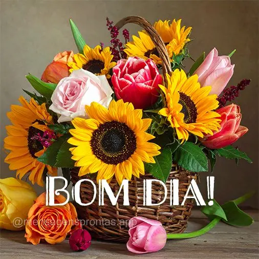 Bom dia!