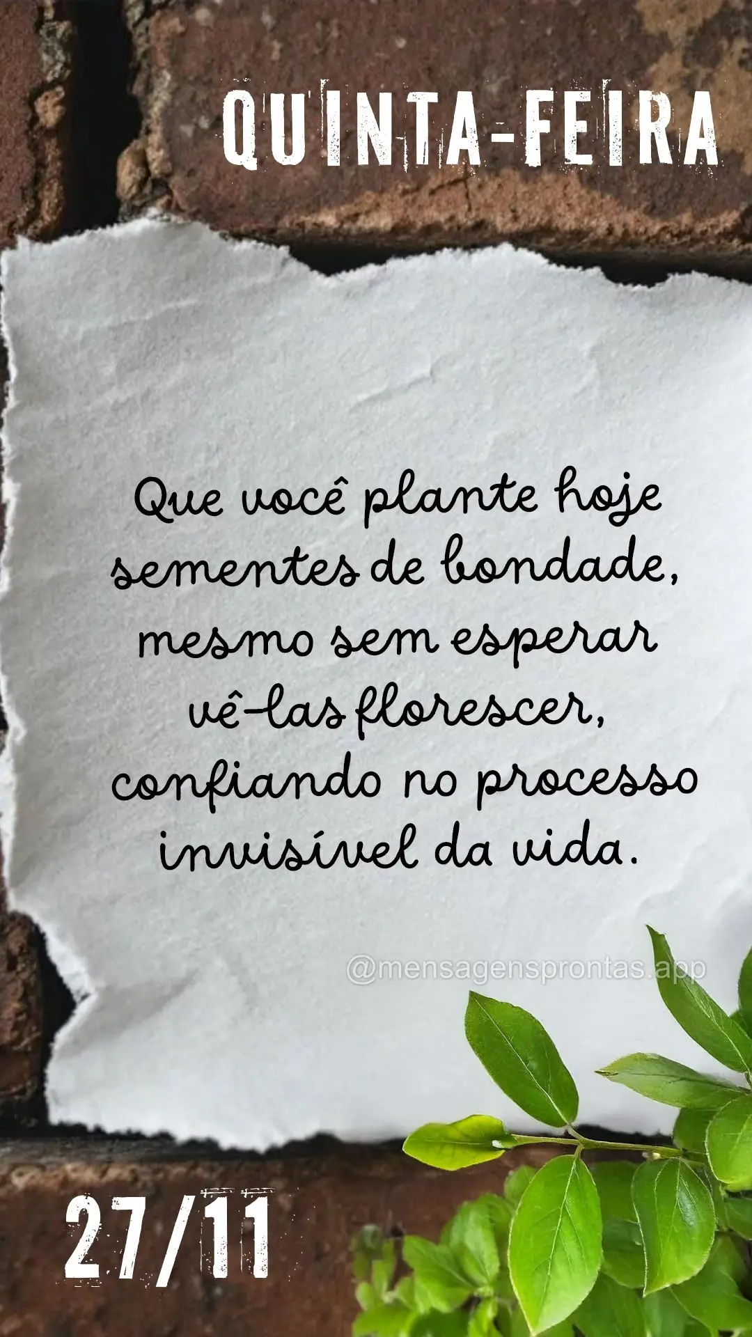 Que você plante hoje sementes de bondade, mesmo sem esperar vê-las florescer, confiando no processo invisível da vida. 27/11 Quinta-feira