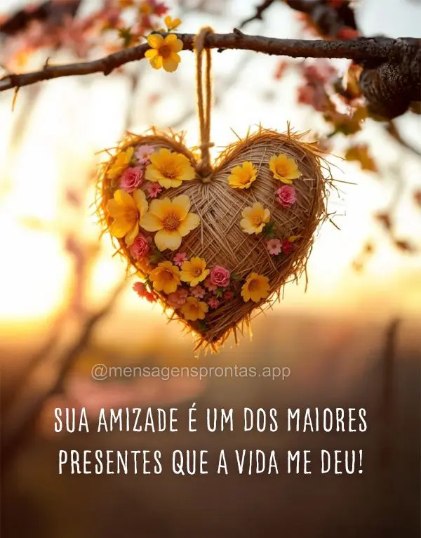 Sua amizade é um dos maiores presentes que a vida me deu!