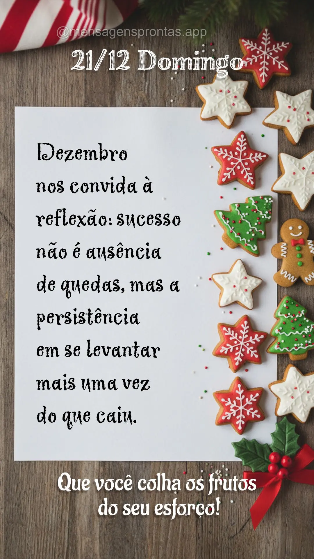 Dezembro nos convida à reflexão: sucesso não é ausência de quedas, mas a persistência em se levantar mais uma vez do que caiu. Que você colha os f...