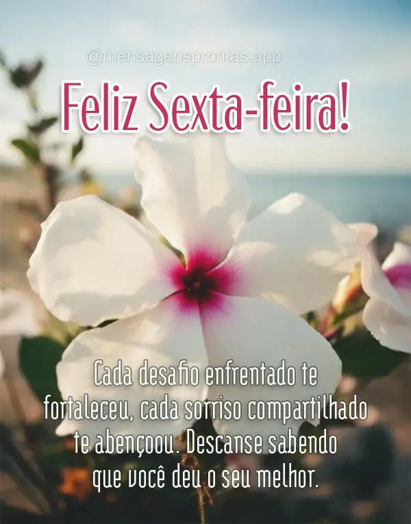 Cada desafio enfrentado te fortaleceu, cada sorriso compartilhado te abençoou. Descanse sabendo que você deu o seu melhor. Feliz Sexta-feira!