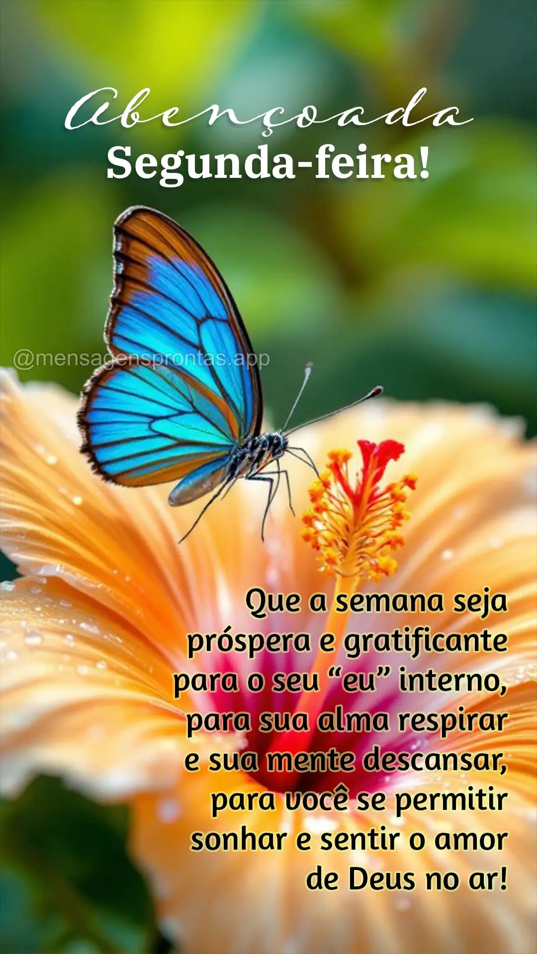 Que a semana seja próspera e gratificante para o seu "eu" interno, para sua alma respirar e sua mente descansar, para você se permitir sonhar e sentir ...