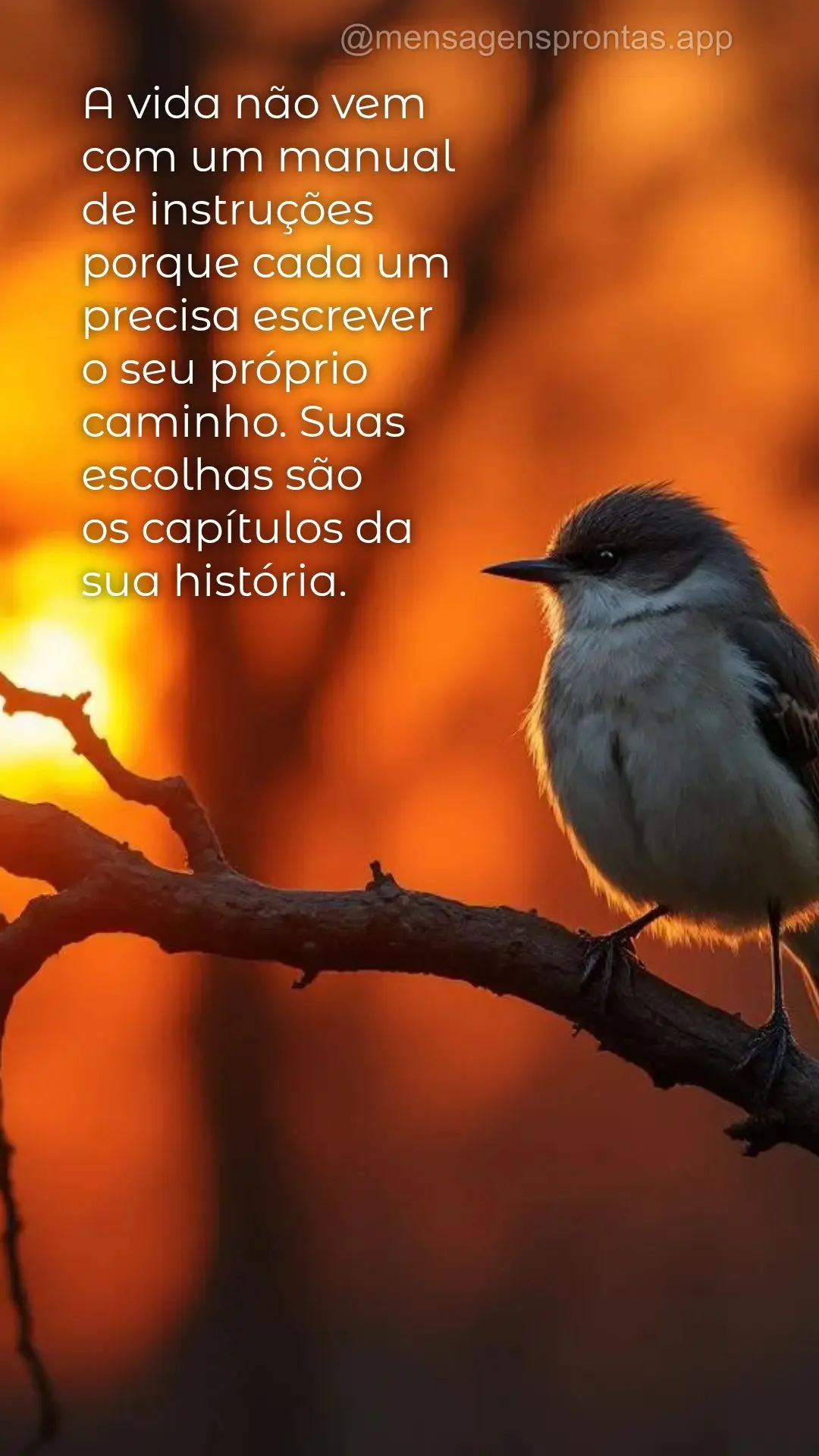 A vida não vem com um manual 
de instruções porque cada um precisa escrever 
o seu próprio caminho. Suas escolhas são 
os capítulos da 
sua his...