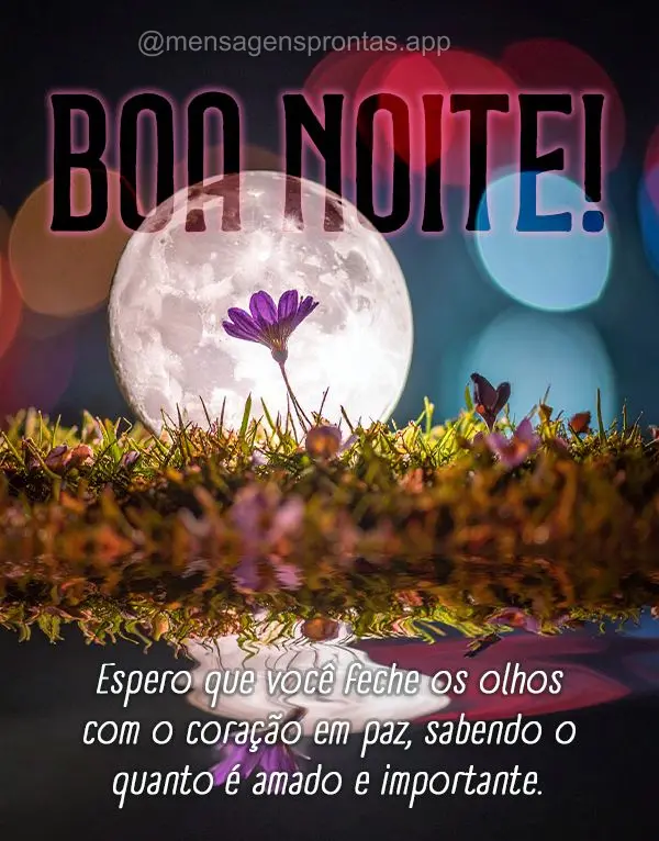 Espero que você feche os olhos com o coração em paz, sabendo o quanto é amado e importante. Boa noite!